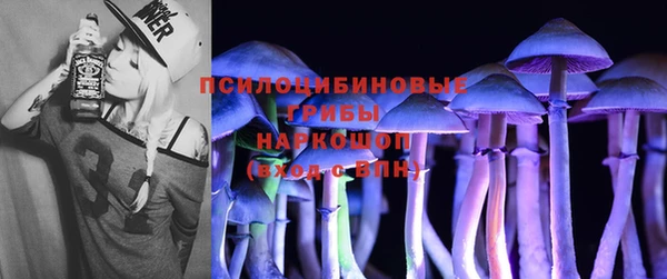 прущий лед Вязники