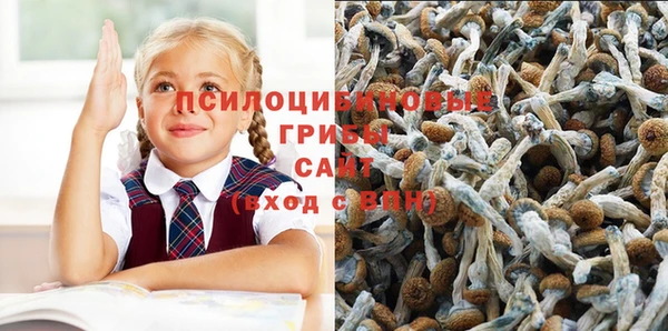 ALPHA-PVP Вязьма