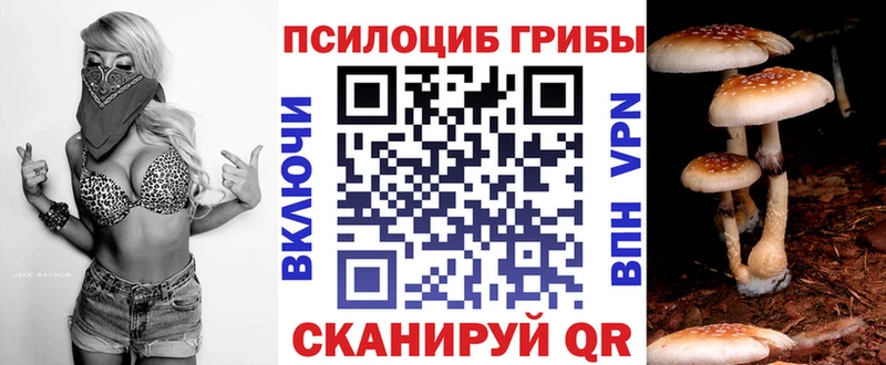 цены наркотик Ивангород Псилоцибиновые грибы MAGIC MUSHROOMS